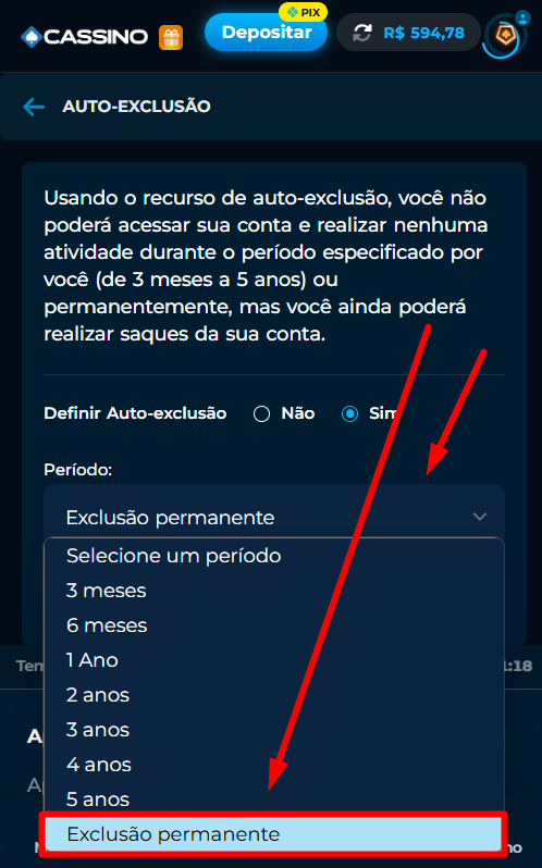 Passo 5 exclusao de conta